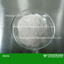 EGCG與植物提取物的關系及其應用價值