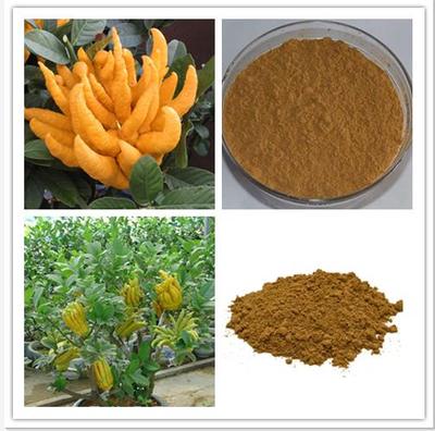 天然香料新篇章 西安蛹蟲(chóng)草粉與提取物的卓越應(yīng)用